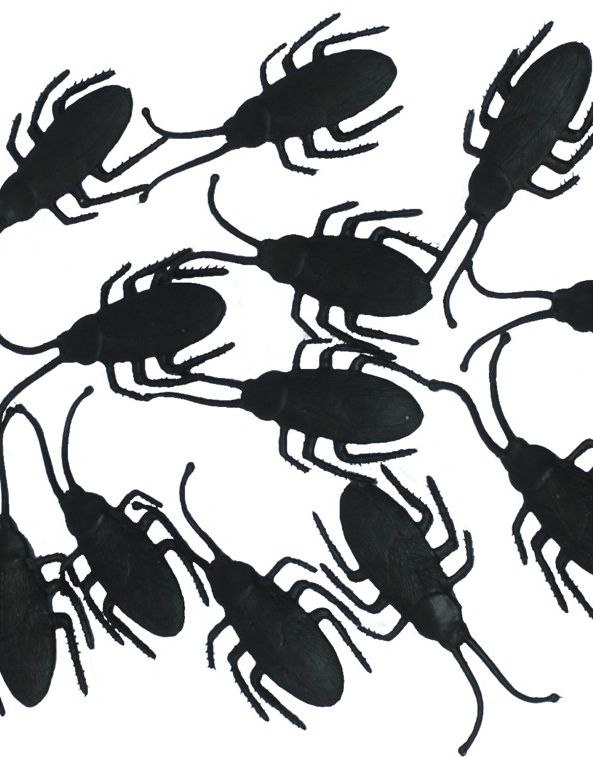 12 svarta skalbaggar för dekoration