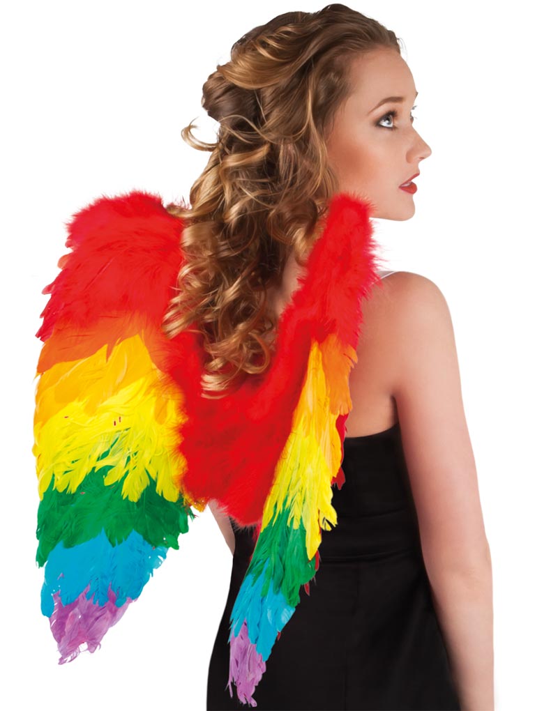 Regnbågsfärgade fjädervingar 50x50 cm