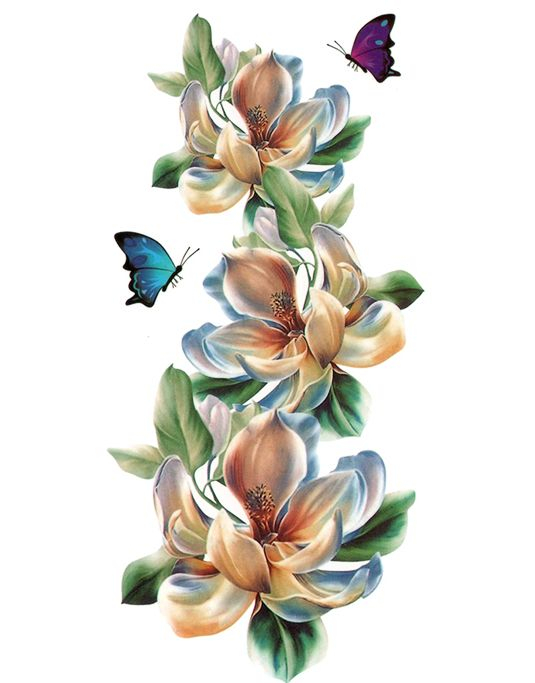 Flowers and Butterflies